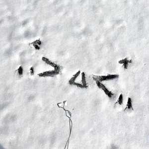 中国女人囗交吞精
